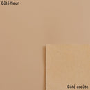 Morceau de cuir de vachette Satinato nude, pièce de cuir authentique, texture satinée, pour projets de maroquinerie ou couture.