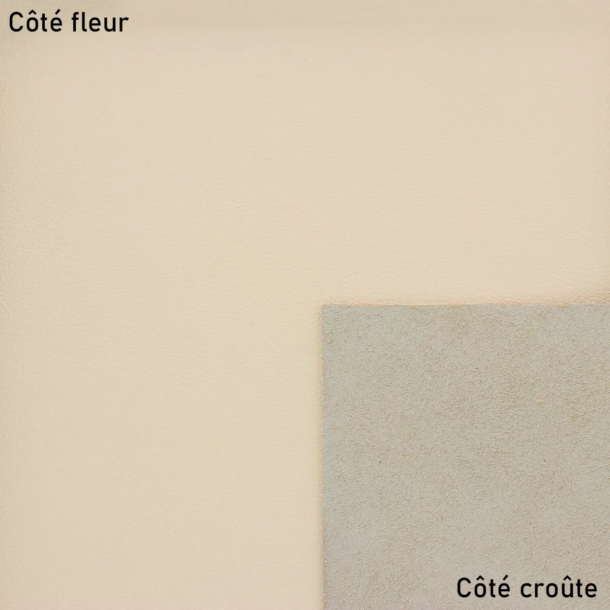 Peau de cuir de veau lisse crème, produit par Autres, texture douce et élégante, vue proche de la surface en cuir.