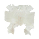 Peau de cuir de crapaud blanc et argent de la marque Autres, texture brillante et détails visibles sur la surface.