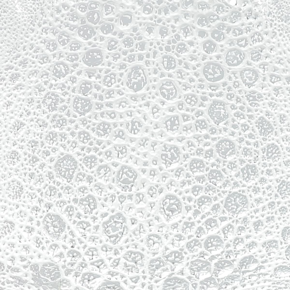 Peau de cuir de crapaud blanc et argent, tissu texturé pour création artisanale, vue en gros plan sur la peau.
