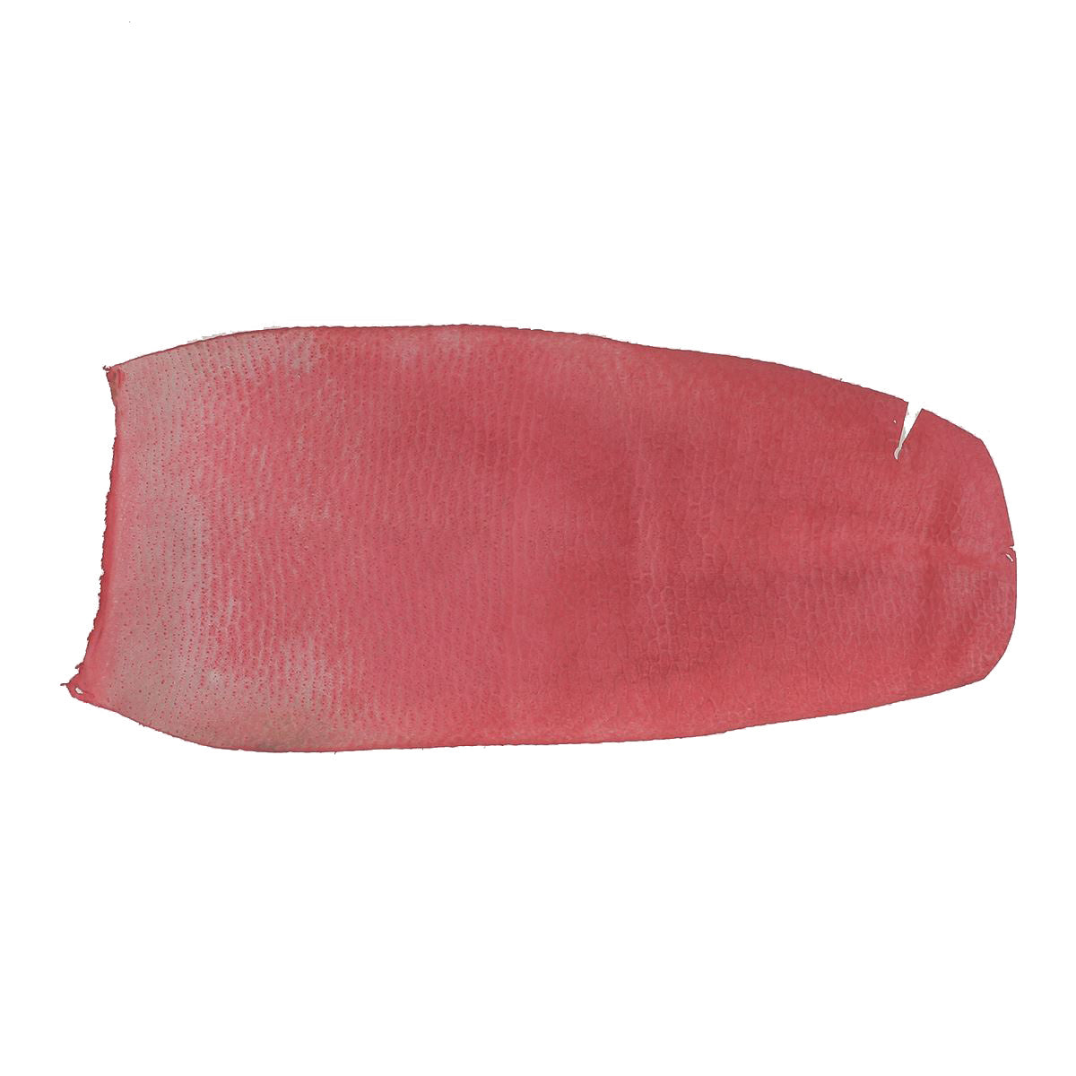 Peau de cuir de queue de castor rouge mat Autres, texture douce et élégante pour projets créatifs.