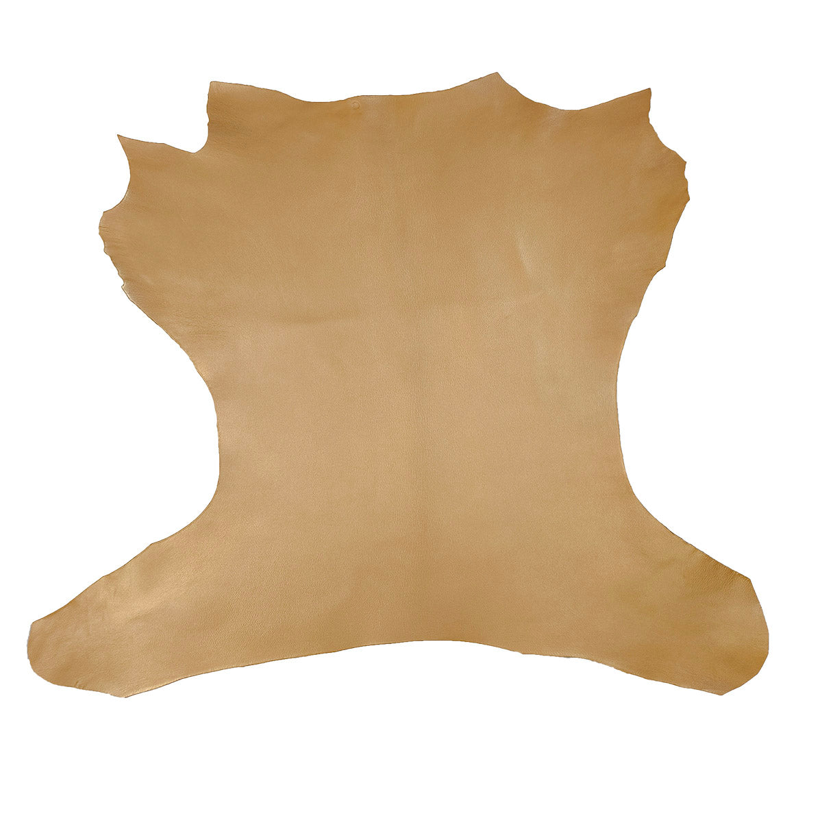 Peau de cuir de chèvre grainé or Autres, texture fine et souple, visible en gros plan dans l'image.