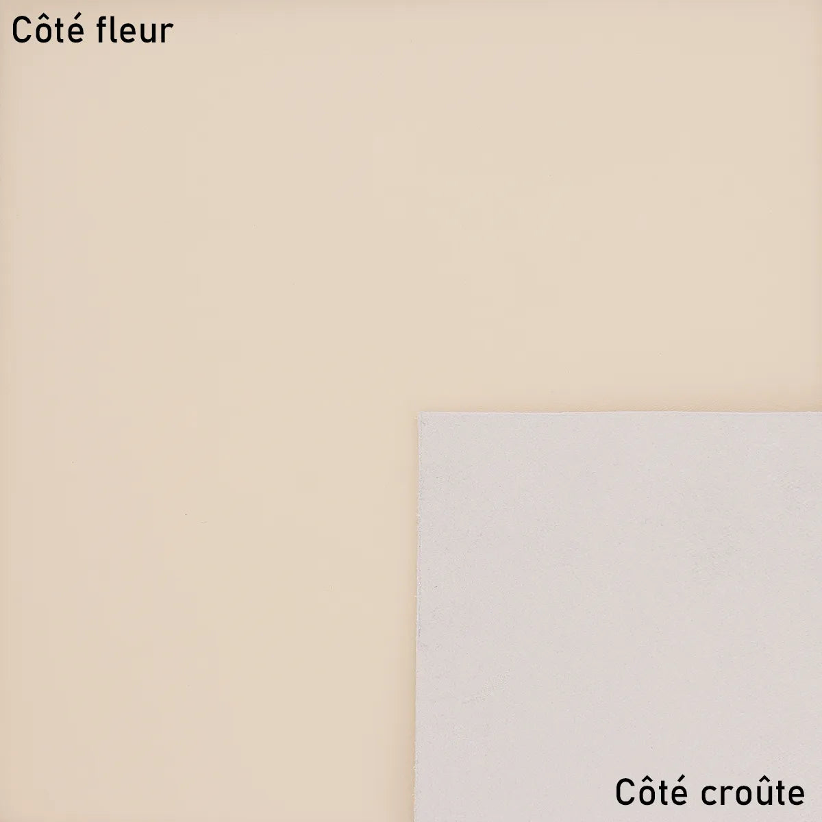 Peau de cuir de vachette satinato beige de la marque Autres, texture lisse et élégante pour projets de maroquinerie.