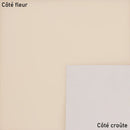 Peau de cuir de vachette satinato beige de la marque Autres, texture lisse et élégante pour projets de maroquinerie.