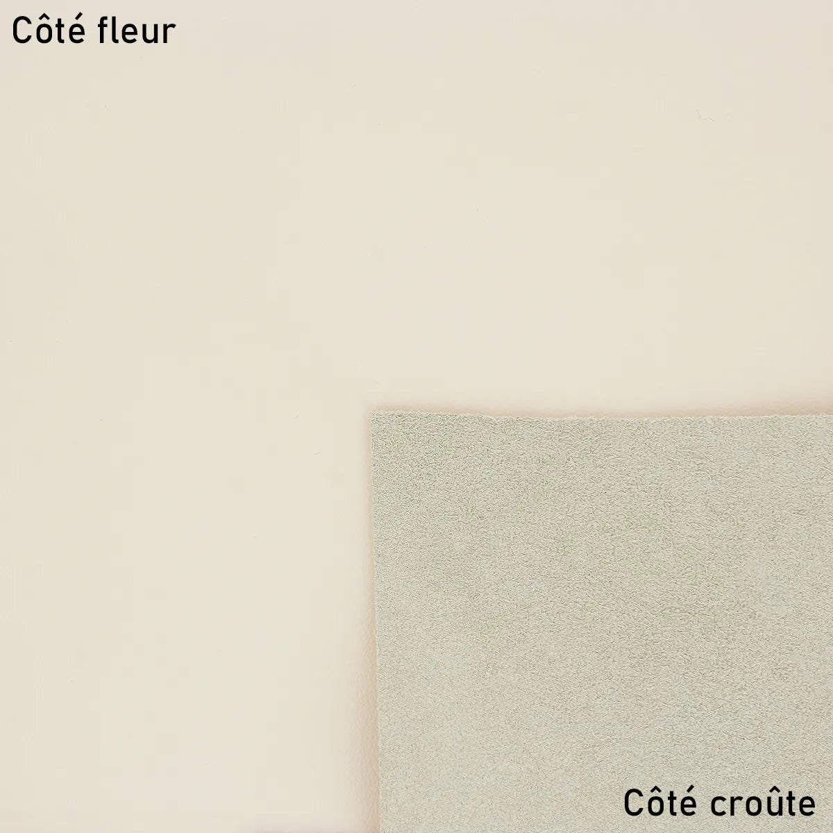 Peau de cuir de veau lisse blanc cassé, produit par Autres, visible en détail dans cette image.