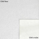 Peau de cuir de chèvre velours fantaisie avec imprimé grain galuchat blanc argenté, finition élégante et texture raffinée.