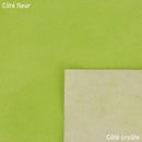 Cuir à poils vert clair. Cuir cavallino pour fabrication d'accessoire, chaussure...