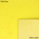 Morceau de cuir jaune fluo effet peinture enduite.