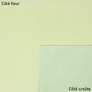 Cuir de vachette lisse vert sauge idéal pour créer des sacs à main, pochettes...