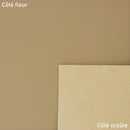 Peau de cuir de vachette Venus en couleur café au lait, cuir lisse et souple, pour projets de maroquinerie ou décoration intérieure.