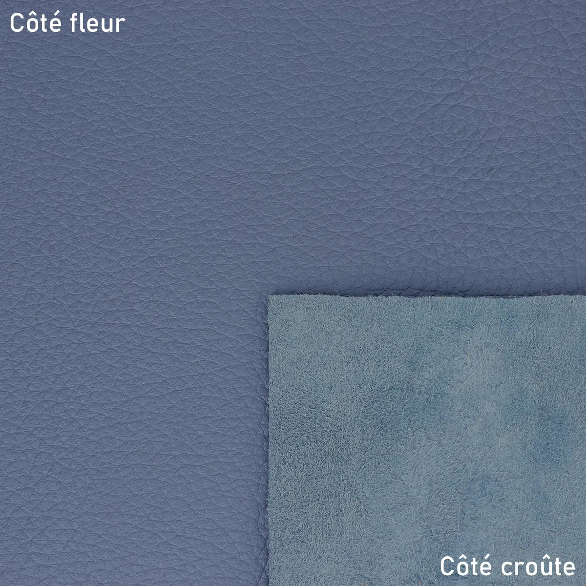 Cuir de cerf bleu avec de jolis reflets nacrés.