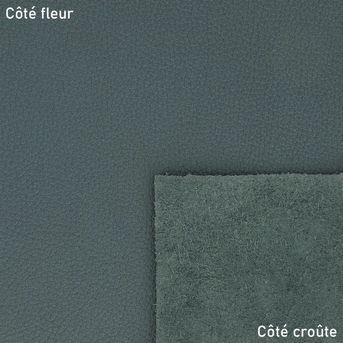 Cuir grainé vert canard