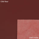 Cuir de veau nappa lisse marron brique. Peau de cuir nappa en gamme suivie pour continuité de vos collections.
