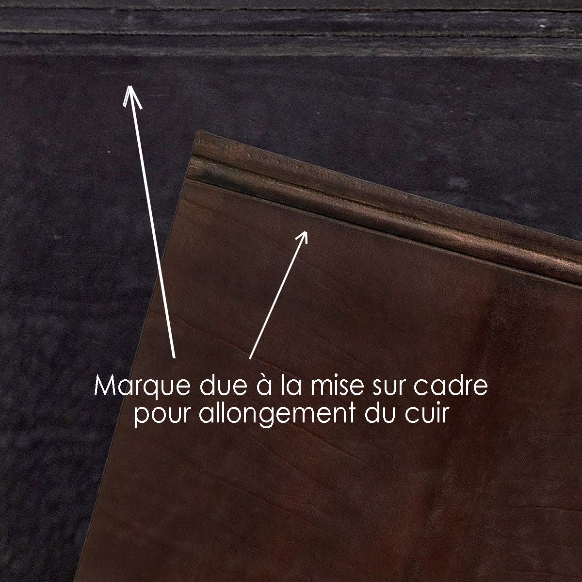 Lanière en cuir de croupon pré-étiré BOYOMA Radermecker, 28mm, chocolat, épaisseur 5,3mm, finition végétale.