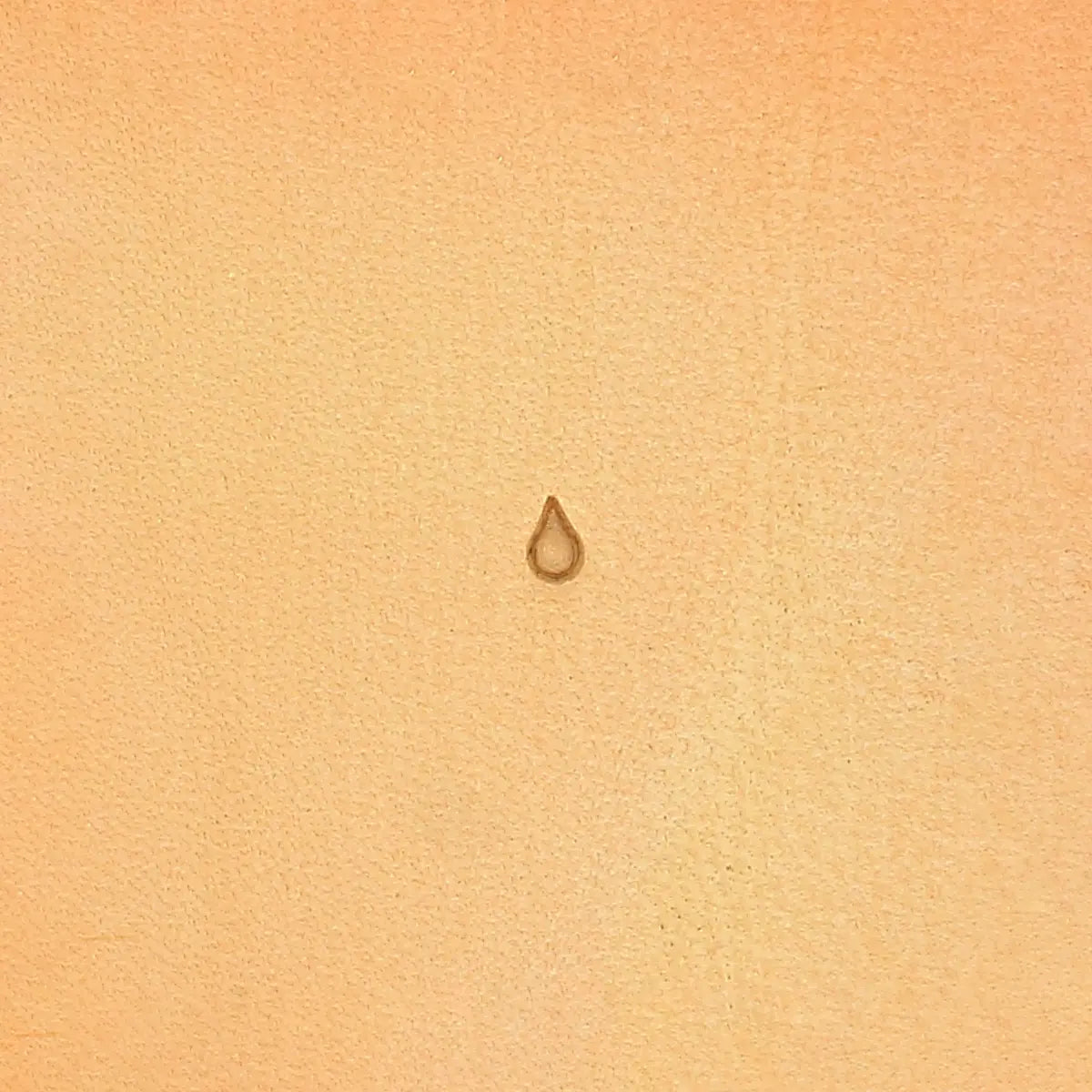 Matoir pour cuir Seeds Teardrop, taille 1 - Barry King Tools