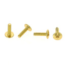 Lot de 25 vis 3x12 mm finition laiton  pour fixer les vis chicago et boutons de col sur du cuir épais