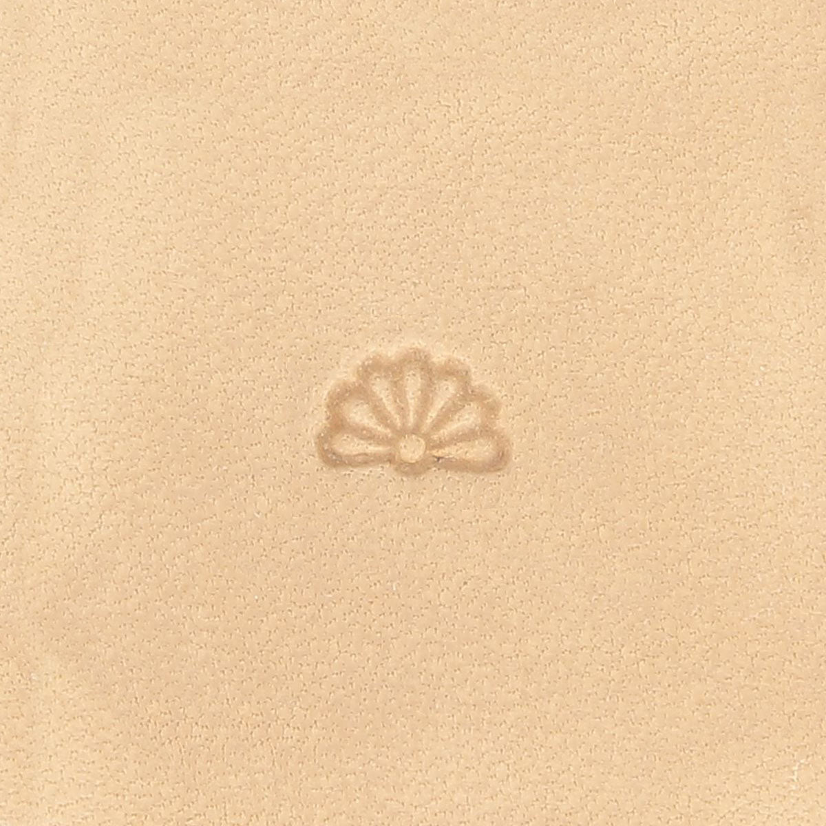 6603-00-L.JPG