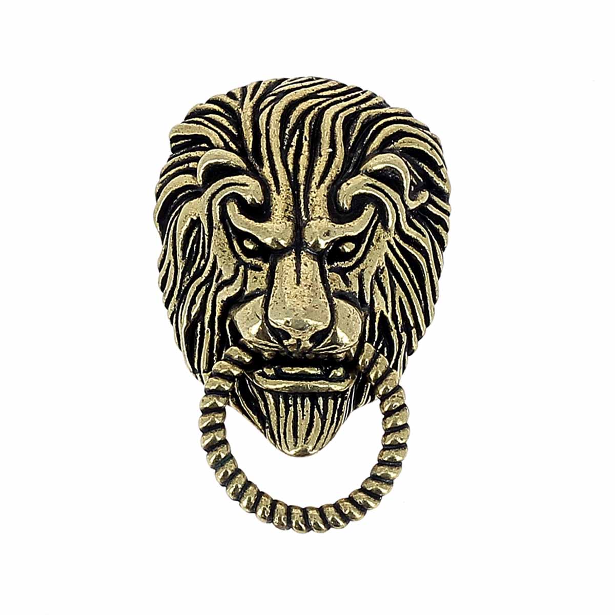 AA229-Concho-a-visser-en-laiton-tete-de-lion-25x37mm-2-.jpg