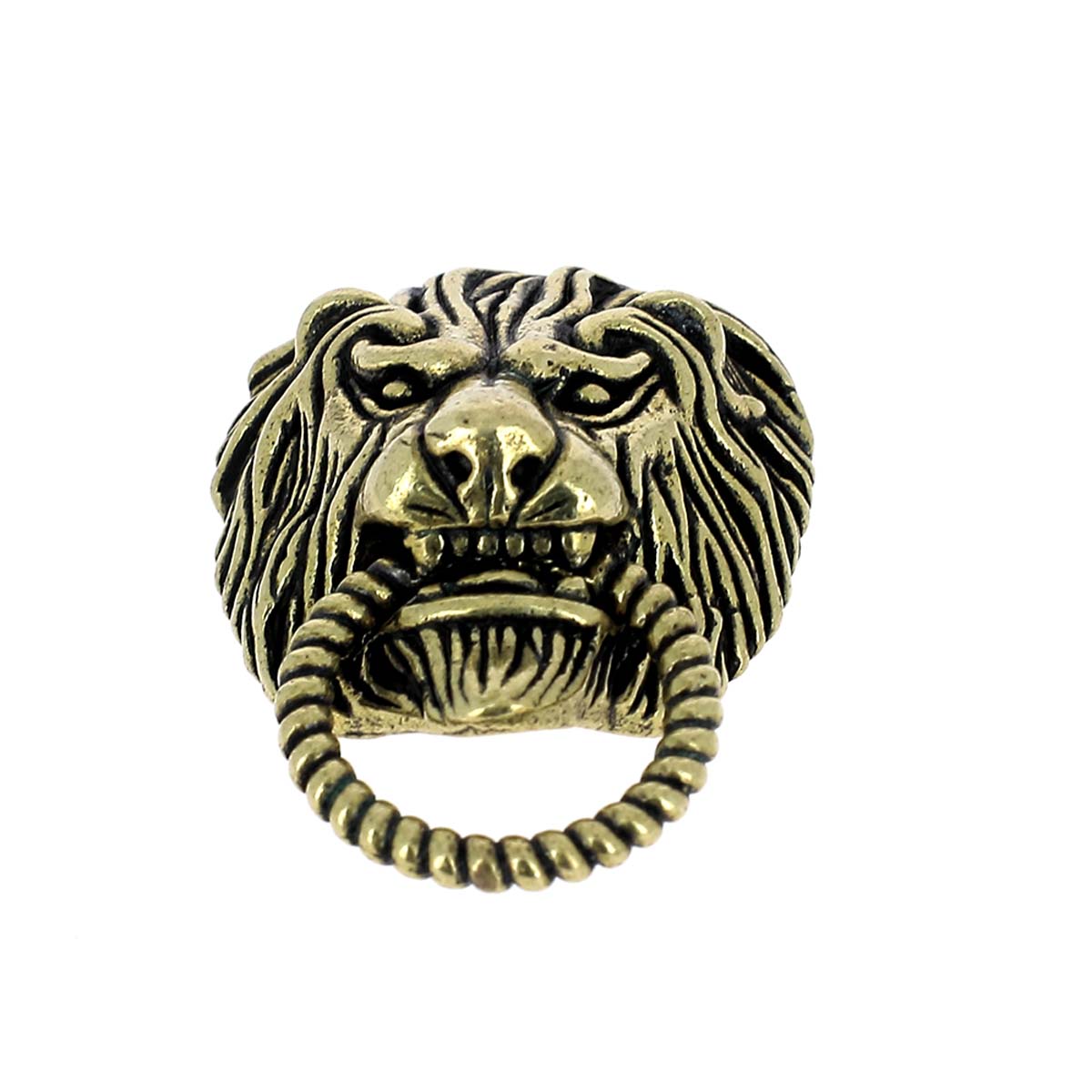AA229-Concho-a-visser-en-laiton-tete-de-lion-25x37mm-5-.jpg