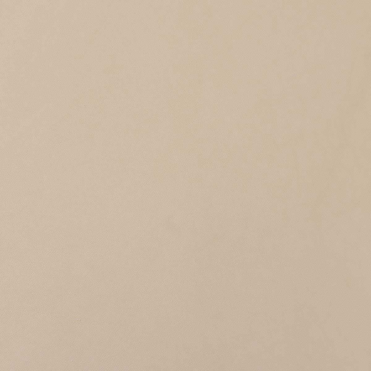 Morceau de cuir tannage végétal naturel CLASSIC, envers résiné incolore, 2e choix, en cuir brut pour la maroquinerie ou la décoration.