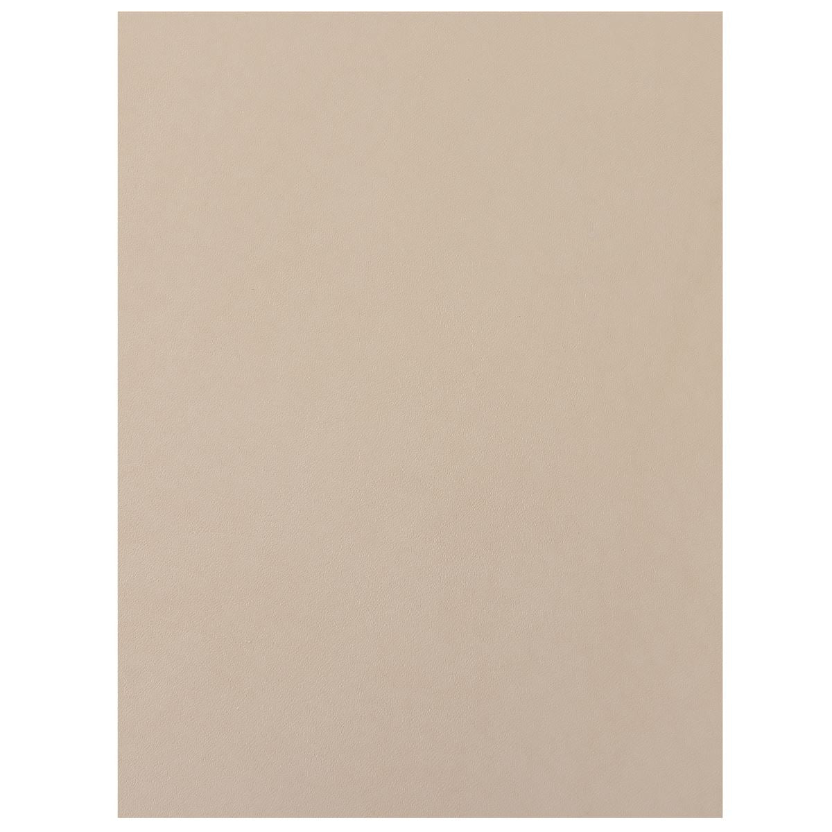Morceau de cuir en collet tannage végétal naturel CLASSIC, envers résiné incolore, taille 2' choix, fabriqué par Autres.