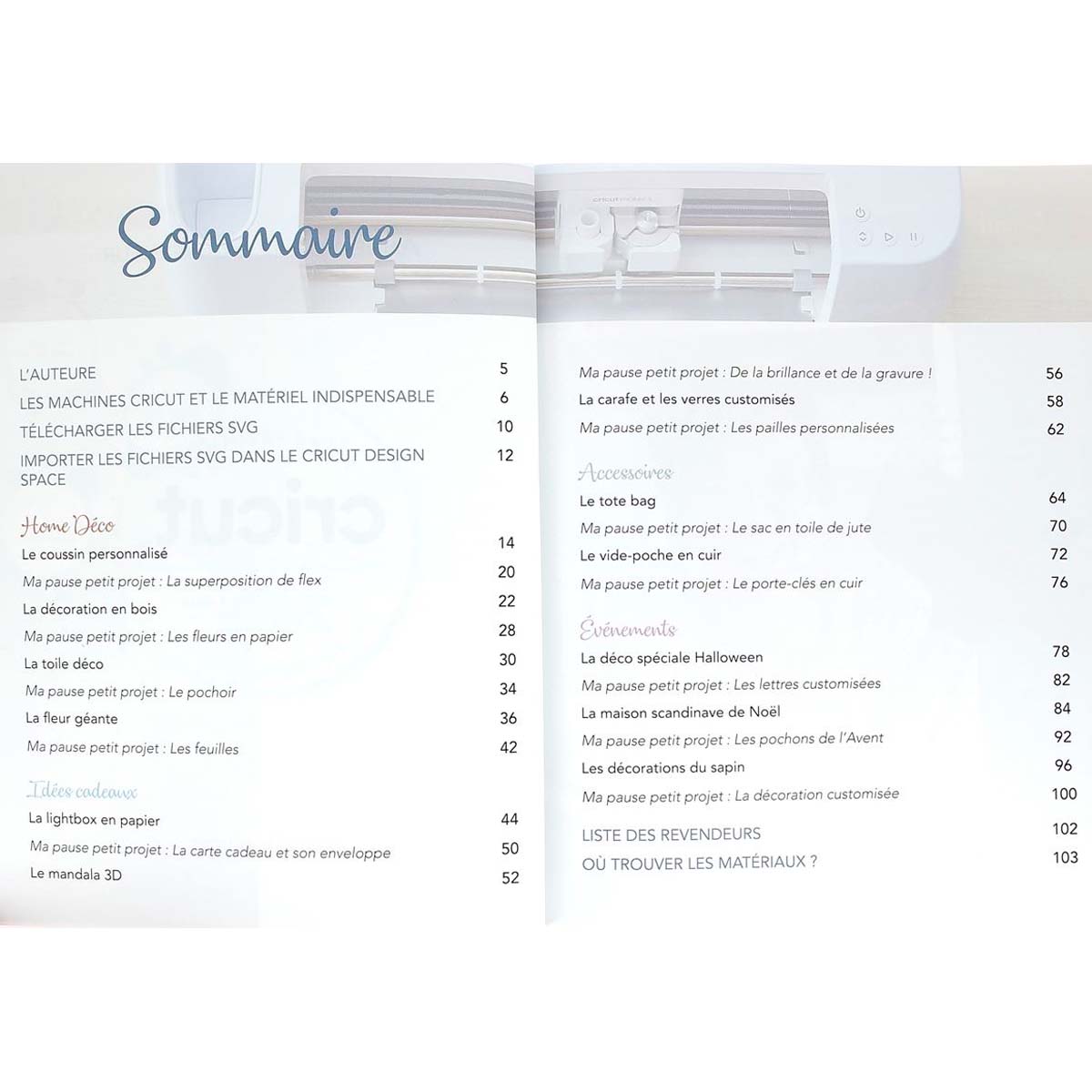 DA035-Livre-Mes-creations-Cricut-Anne-Sophie-Gouverneur-7-.jpg