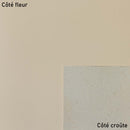 LPF15-Morceau-de-cuir-de-veau-lisse-CREME-2-.jpg