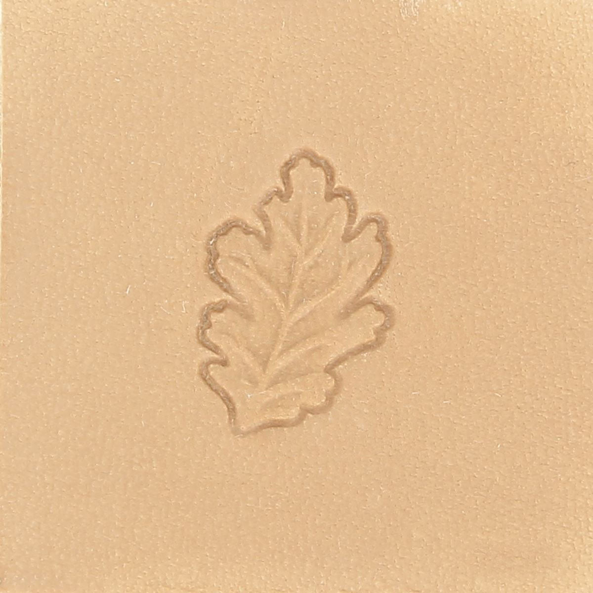 Matoir sur manche - Feuille de chêne gauche - 6951x600.jpg