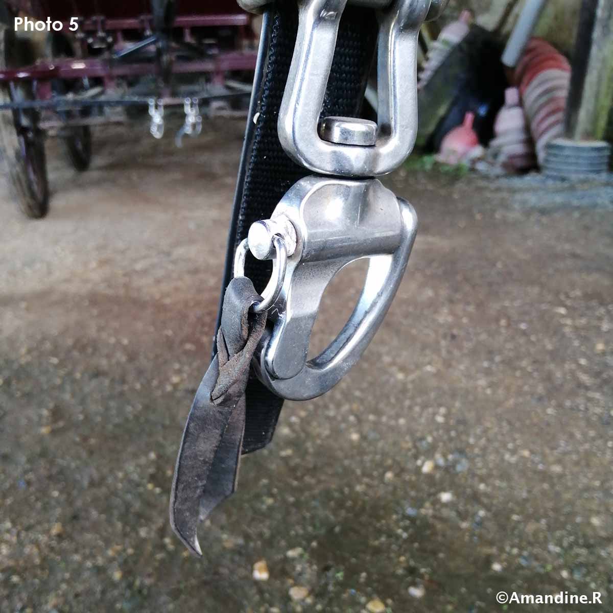 Mousqueton d'attelage double avec goupille de sécurité en inox, boucle robuste pour fixation sécurisée.
