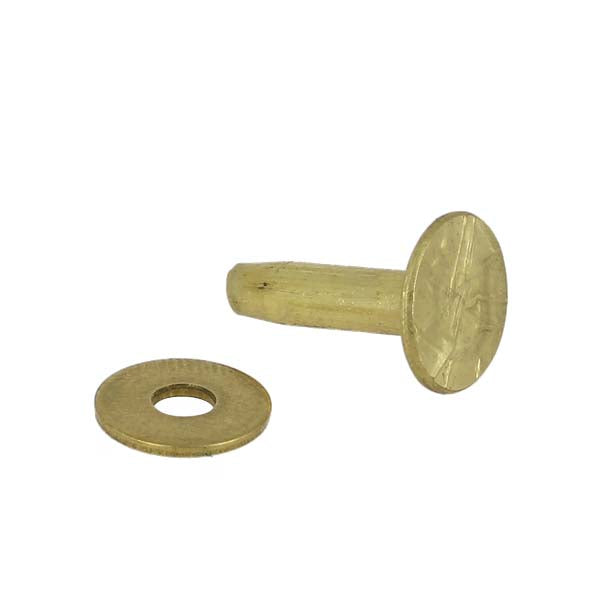 Lot de 75 rivets en laiton avec rondelles pour mater T35, accessoires pour cuir Tandy Leather, outils robustes et durables.