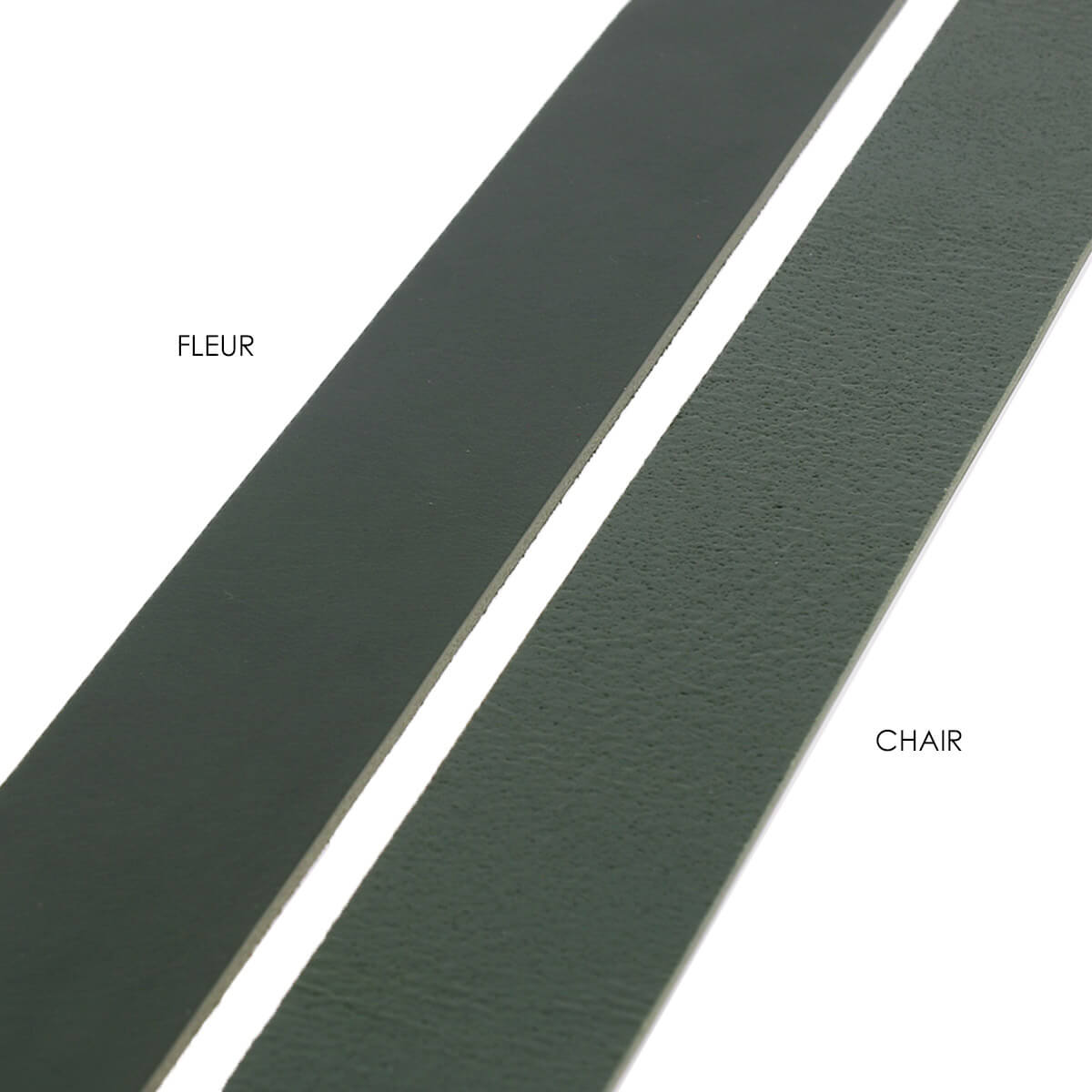 Échantillon de lanière de cuir de collet nourri lisse de Deco Cuir, tannage végétal, couleur vert.