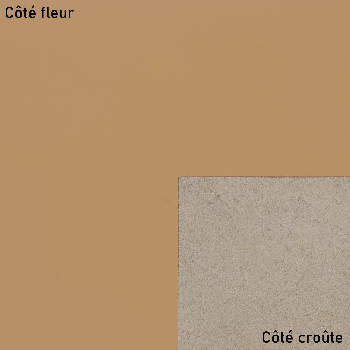 Peau de cuir de veau SATINLYS couleur cappuccino, texture lisse et souple, vue en gros plan.