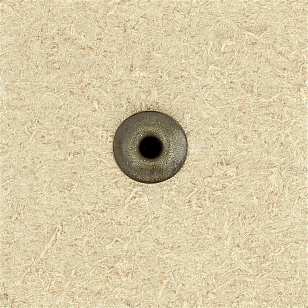 Lot de 100 rivets simples à calotte antiques de 9mm, accessoires de fixation robustes pour projets divers.