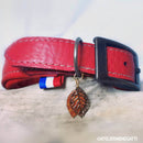 Lanière en cuir rouge vif de 3,4 mm, tannage végétal, pour chien, de la marque Deco Cuir, avec boucle en métal.