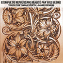 Morceau de cuir de collet tannage végétal naturel de haute qualité, texture détaillée, utilisé pour artisanat et maroquinerie.