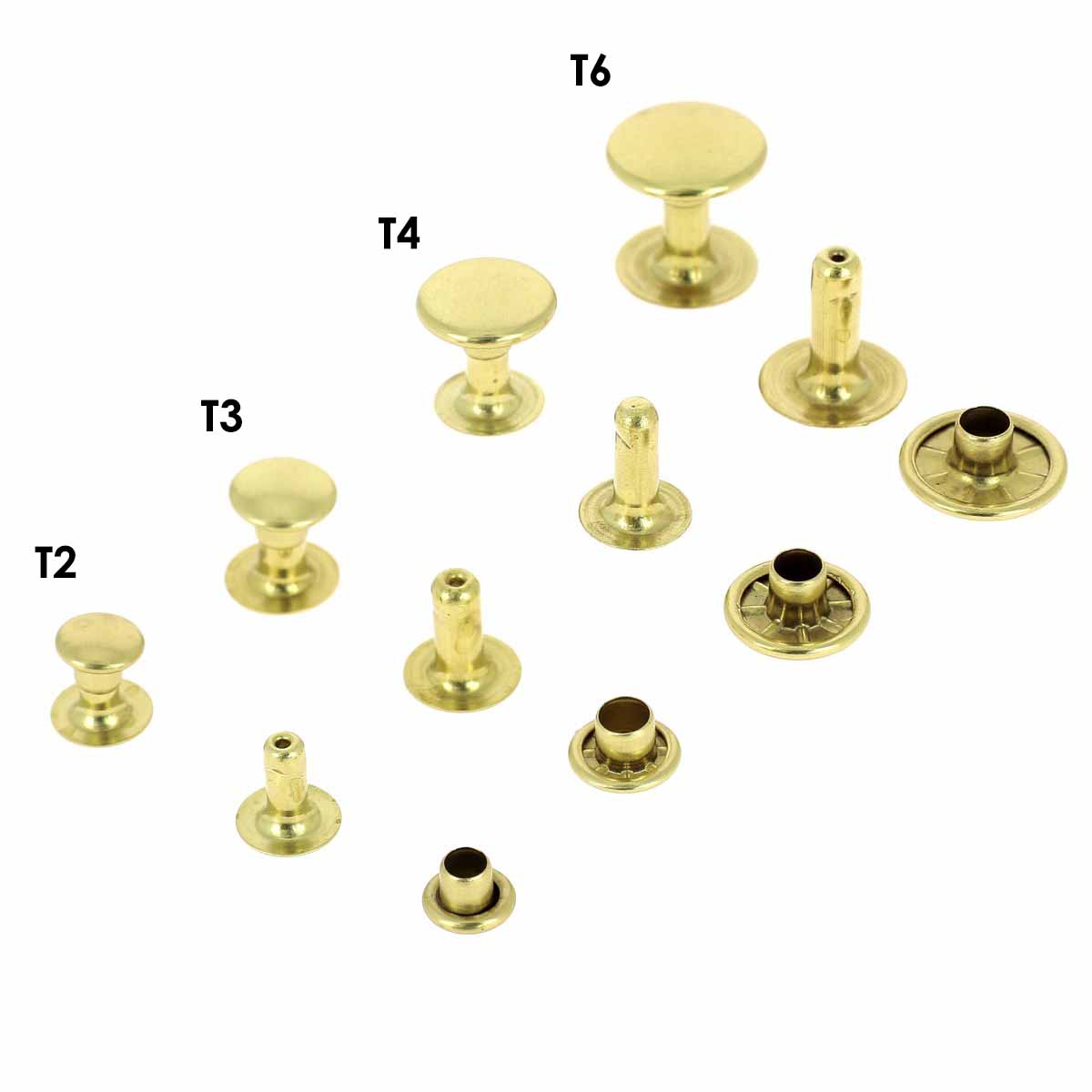 Rivets moyens en laiton Deco Cuir, accessoires pour cuir, vue d'ensemble avec calotte simple et finition en laiton.